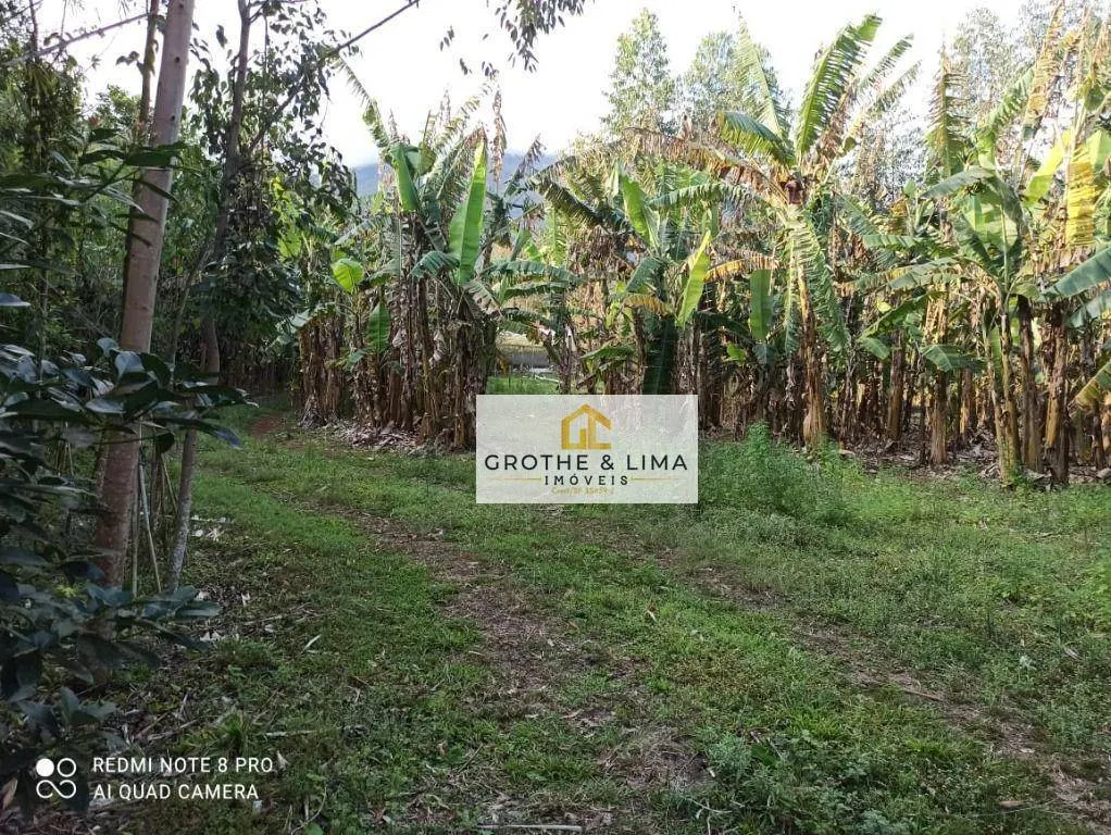 Fazenda à venda e para Arrendar de 262 ha em Silveiras, SP, Brasil