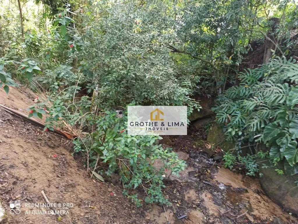Fazenda à venda e para Arrendar de 262 ha em Silveiras, SP, Brasil