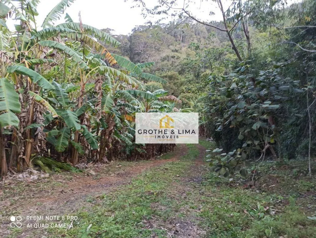 Fazenda à venda e para Arrendar de 262 ha em Silveiras, SP, Brasil