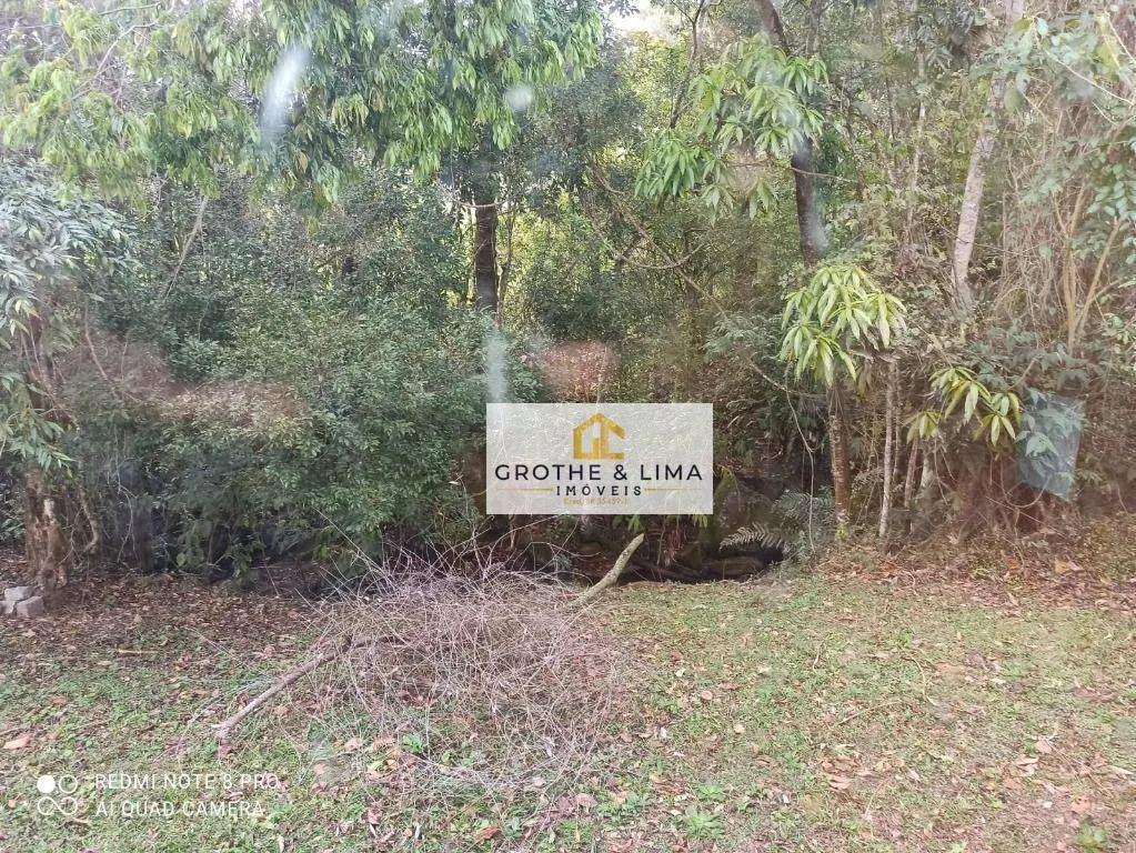 Fazenda à venda e para Arrendar de 262 ha em Silveiras, SP, Brasil
