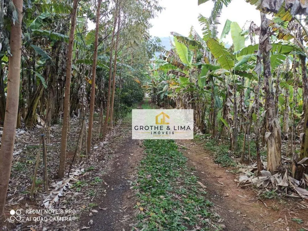 Fazenda à venda e para Arrendar de 262 ha em Silveiras, SP, Brasil
