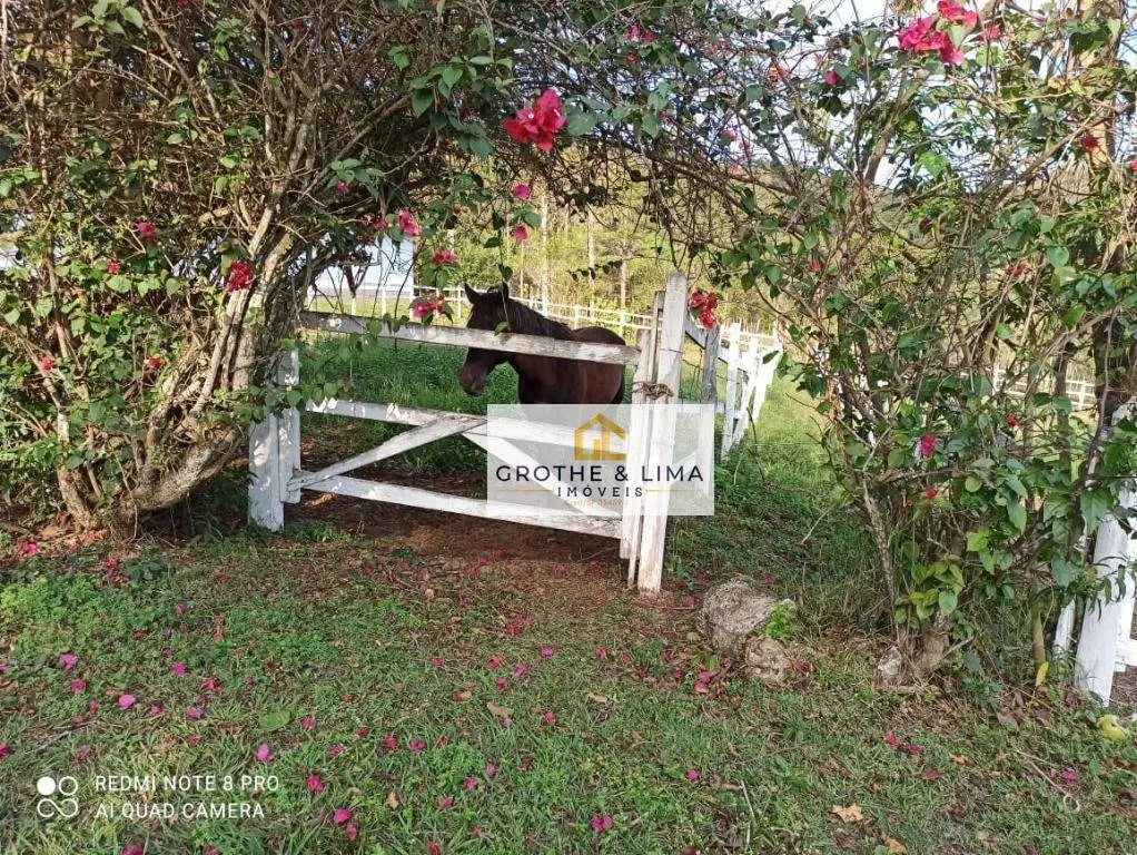Fazenda à venda e para Arrendar de 262 ha em Silveiras, SP, Brasil
