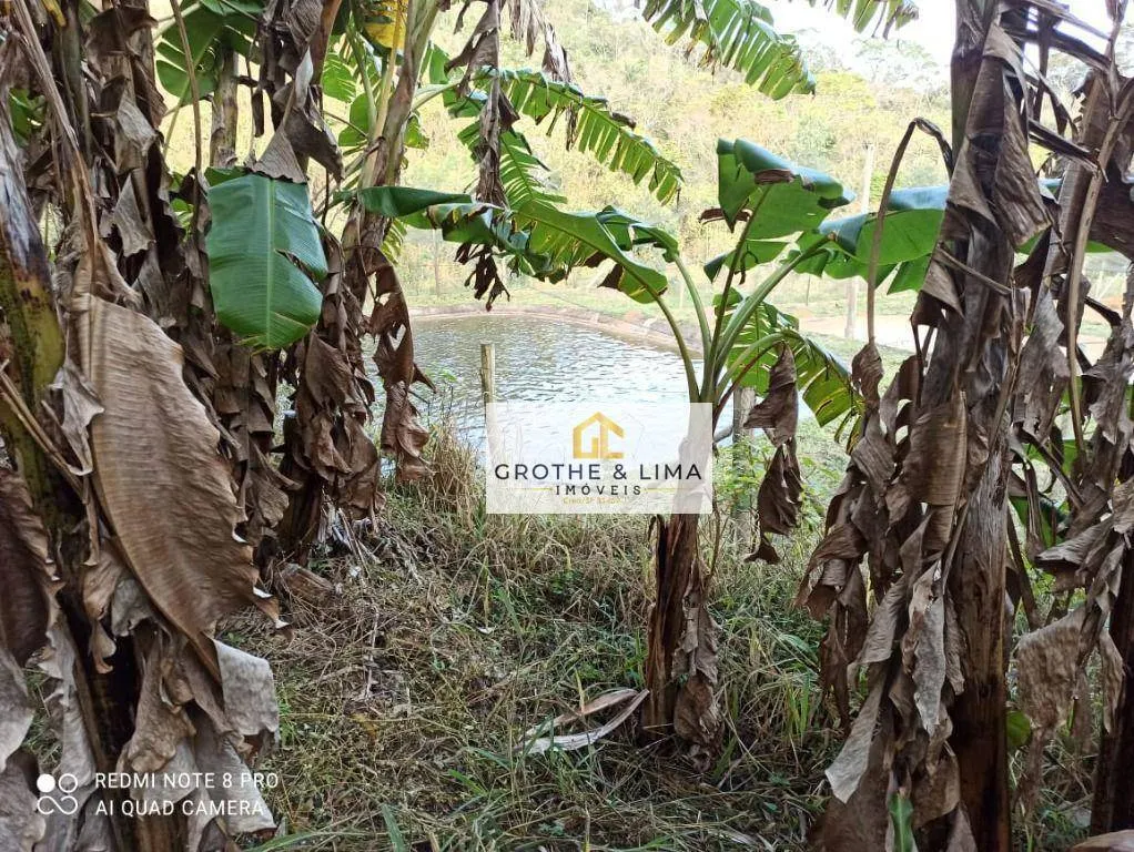 Fazenda à venda e para Arrendar de 262 ha em Silveiras, SP, Brasil