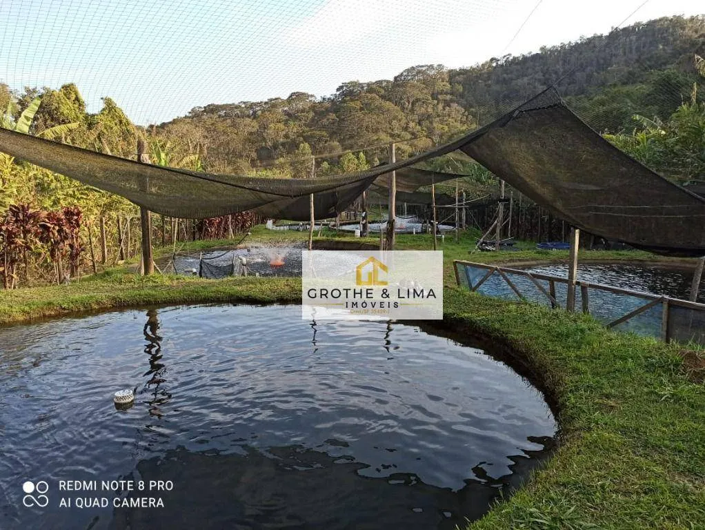 Fazenda à venda e para Arrendar de 262 ha em Silveiras, SP, Brasil