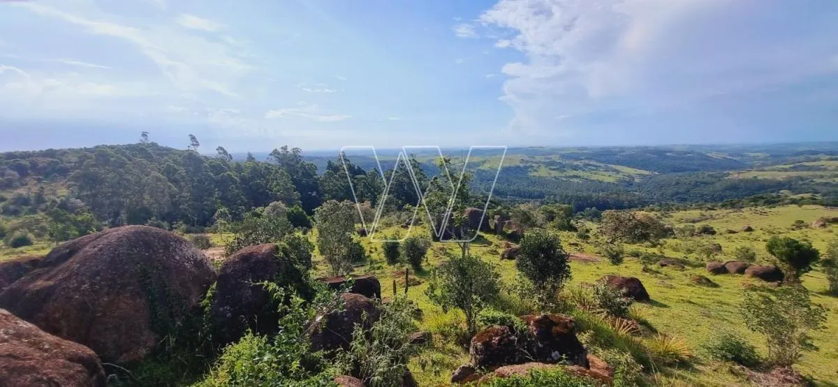 Small farm for sale of 21 acres in Campinas, SP, Brazil