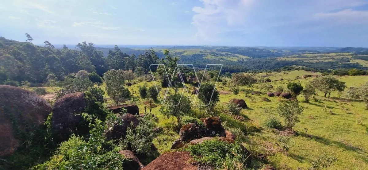 Small farm for sale of 21 acres in Campinas, SP, Brazil