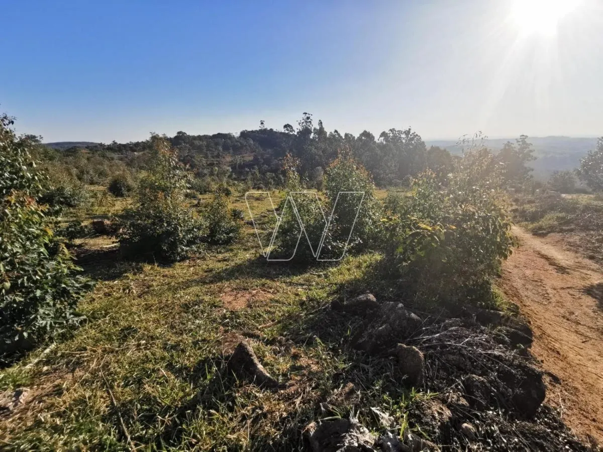 Small farm for sale of 21 acres in Campinas, SP, Brazil