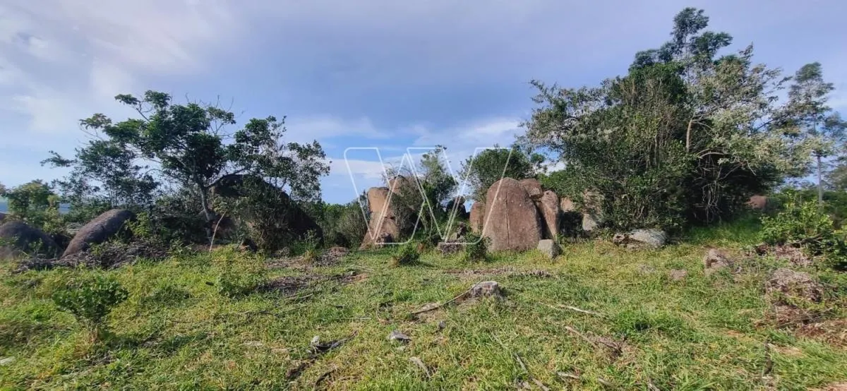 Small farm for sale of 21 acres in Campinas, SP, Brazil