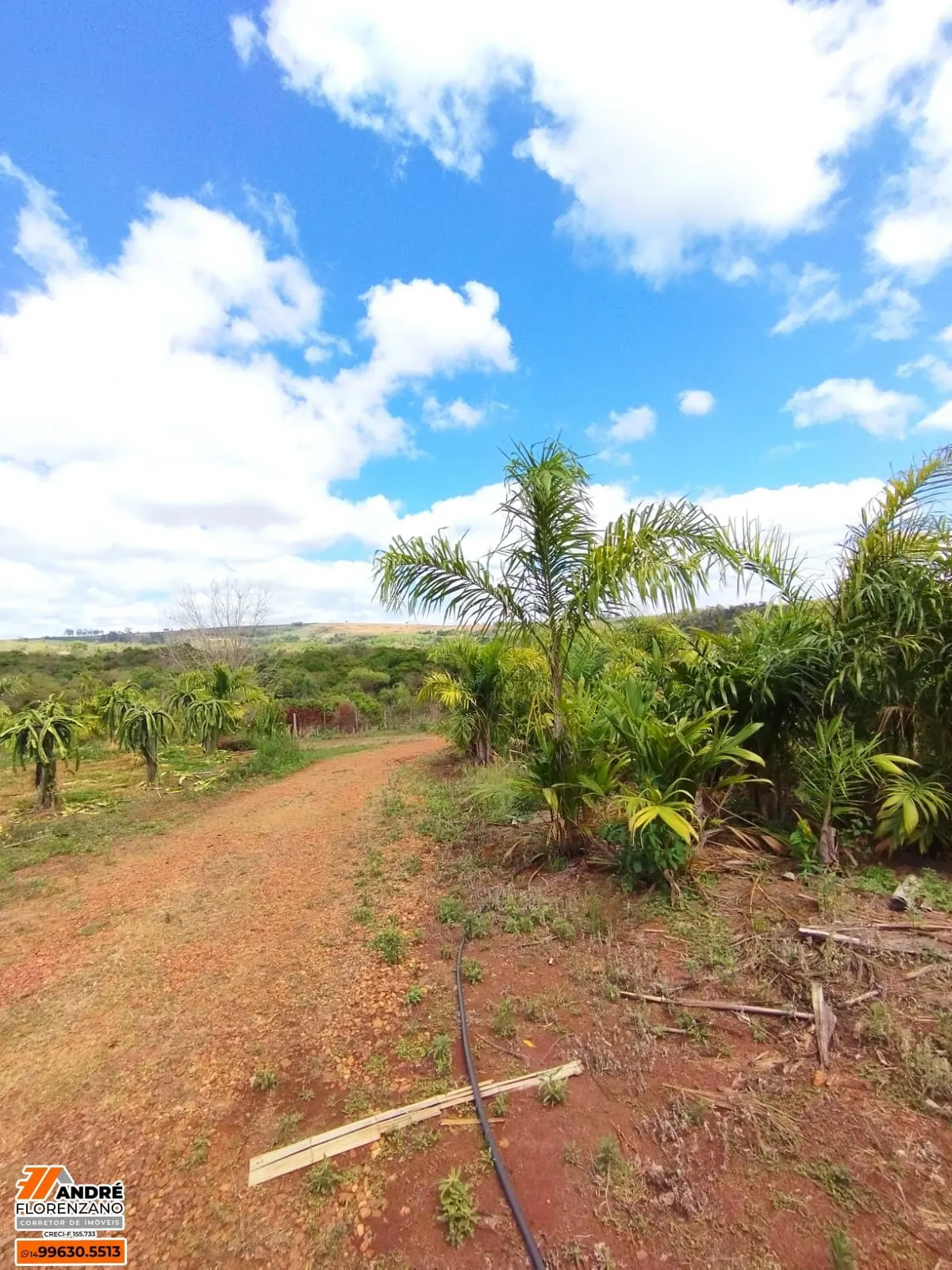 Chácara à venda de 3 ha em Piraju, SP, Brasil