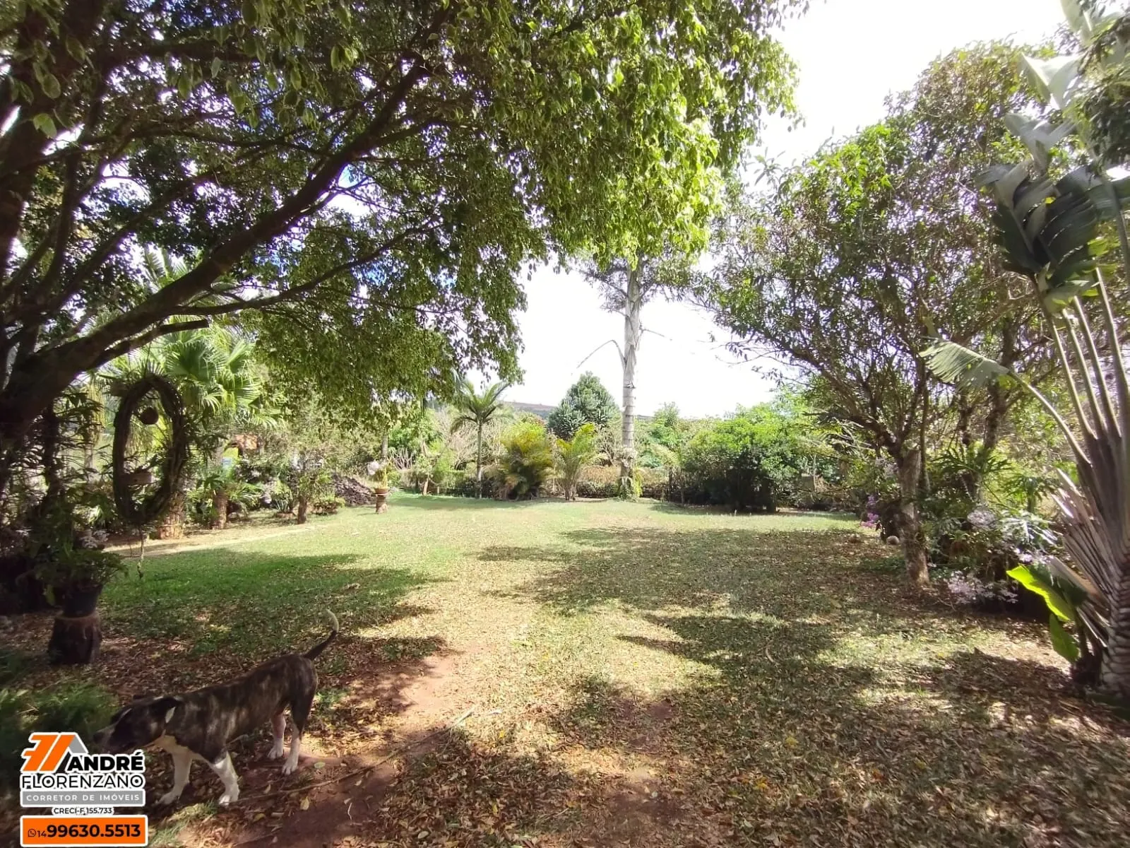 Chácara à venda de 3 ha em Piraju, SP, Brasil