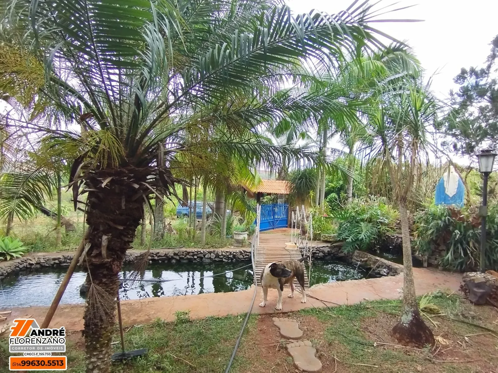Chácara à venda de 3 ha em Piraju, SP, Brasil