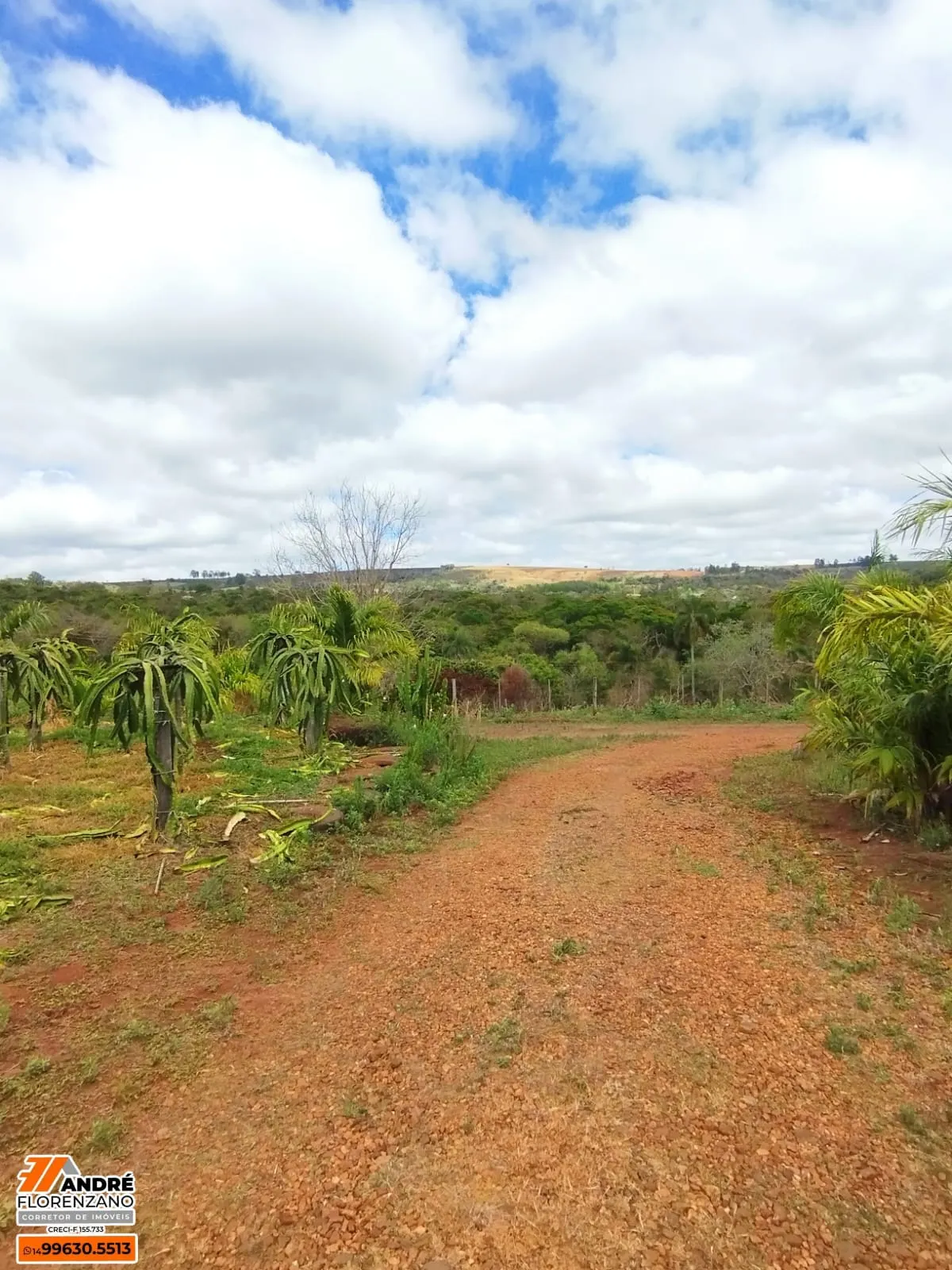 Chácara à venda de 3 ha em Piraju, SP, Brasil