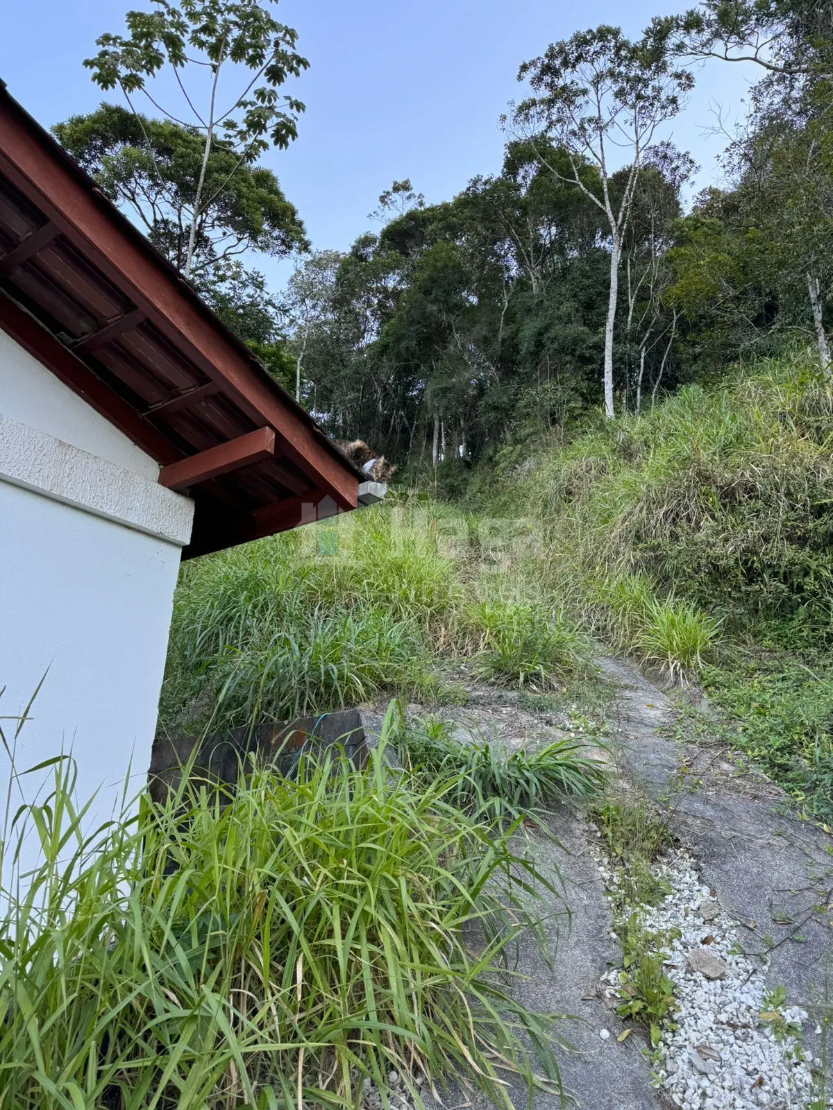 Chácara à venda de 5.980 m² em Camboriú, SC, Brasil
