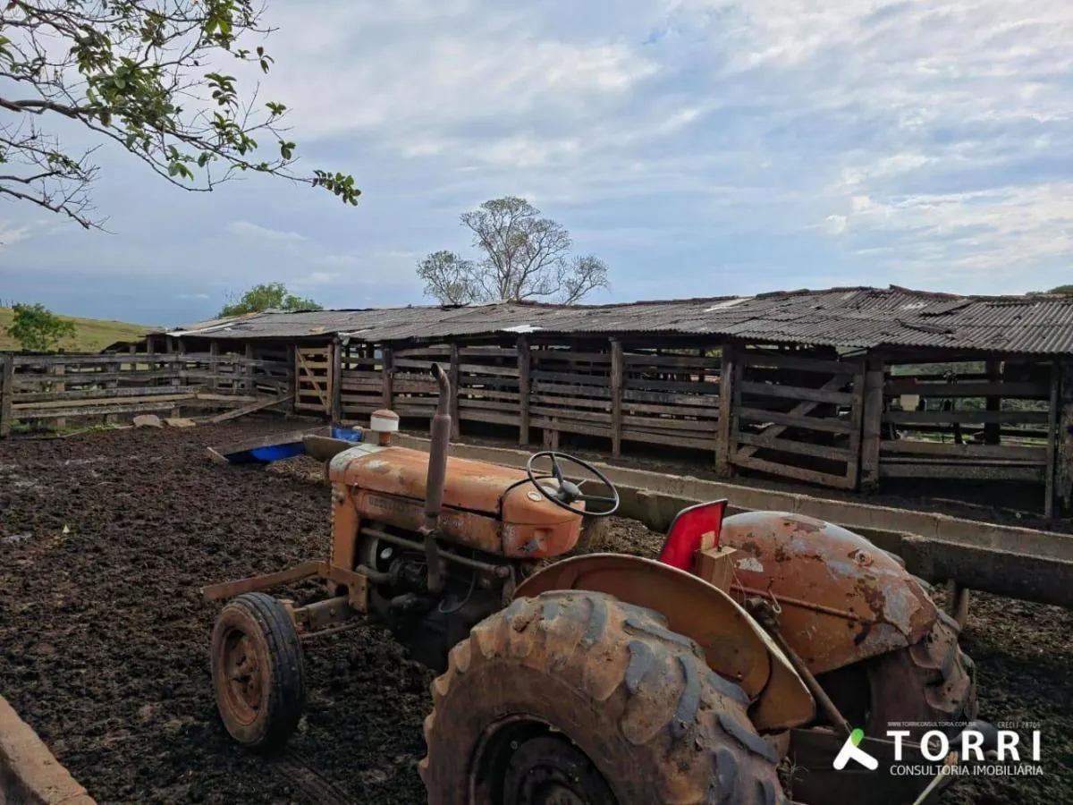 Fazenda à venda de 87 ha em Botucatu, SP, Brasil