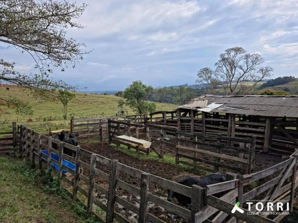 Fazenda à venda de 87 ha em Botucatu, SP, Brasil
