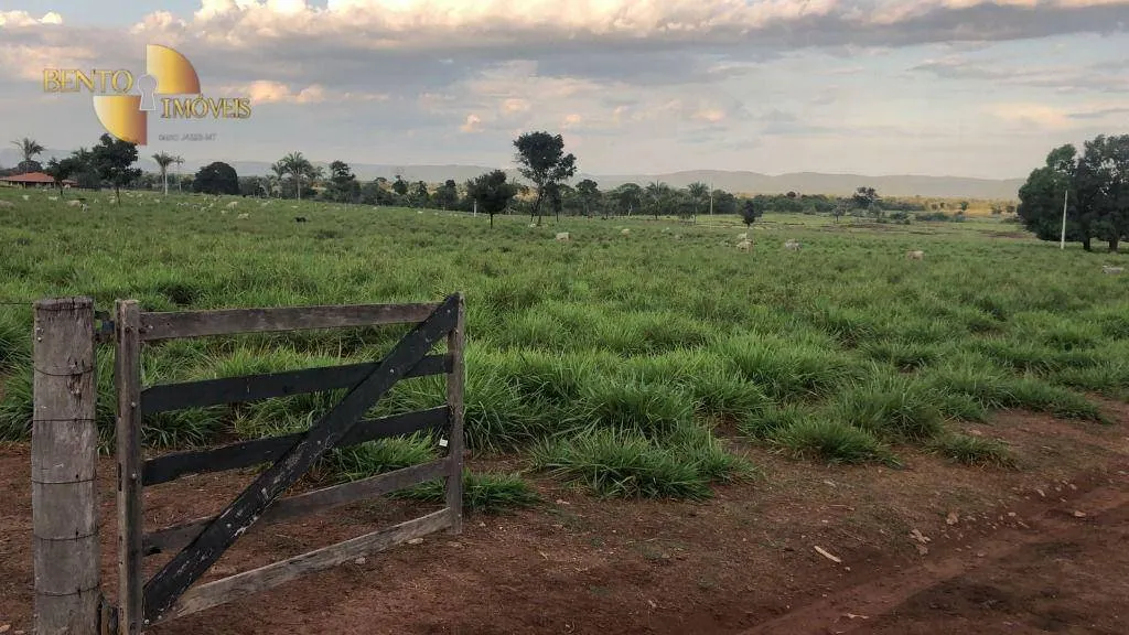 Farm for sale of 259 acres in Cuiabá, MT, Brazil