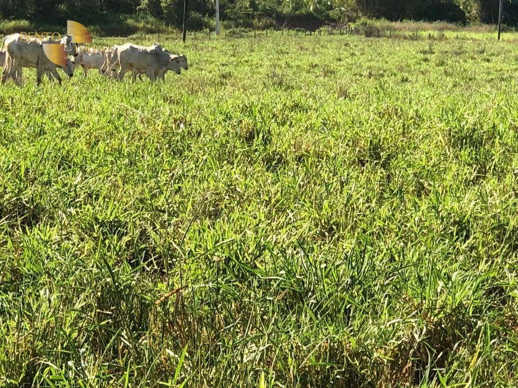 Farm for sale of 259 acres in Cuiabá, MT, Brazil