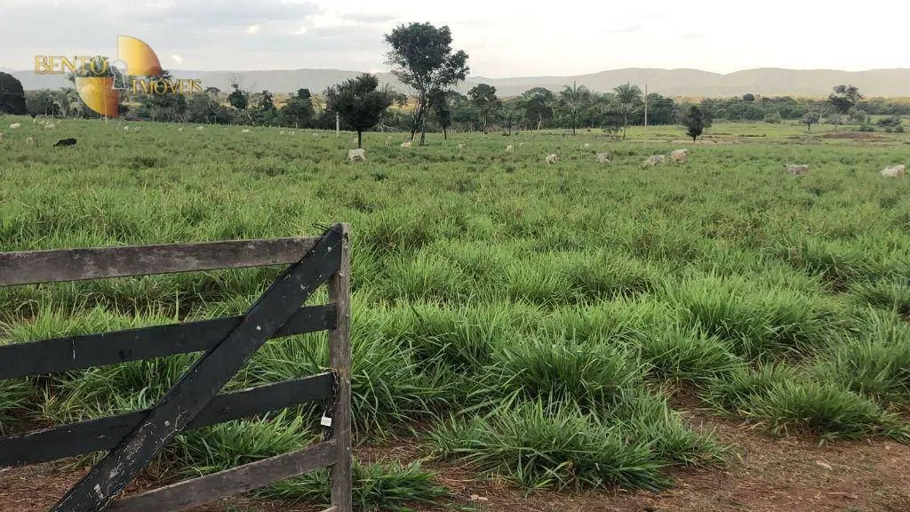 Farm for sale of 259 acres in Cuiabá, MT, Brazil