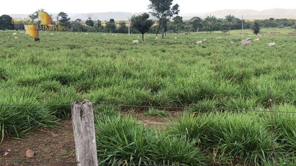 Farm for sale of 259 acres in Cuiabá, MT, Brazil