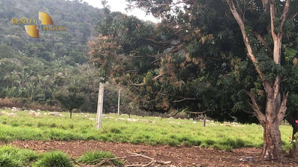 Farm for sale of 259 acres in Cuiabá, MT, Brazil