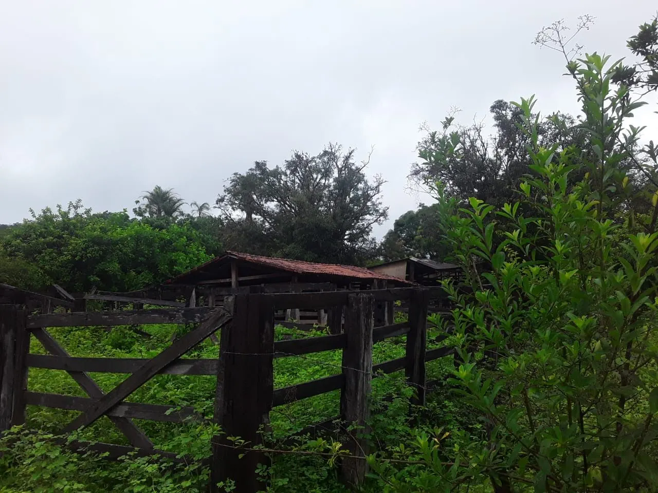 Fazenda à venda de 987 ha em Três Marias, MG, Brasil