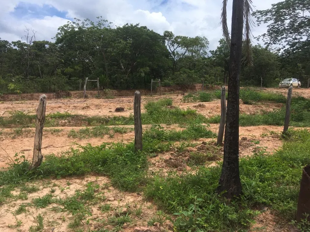 Fazenda à venda de 987 ha em Três Marias, MG, Brasil