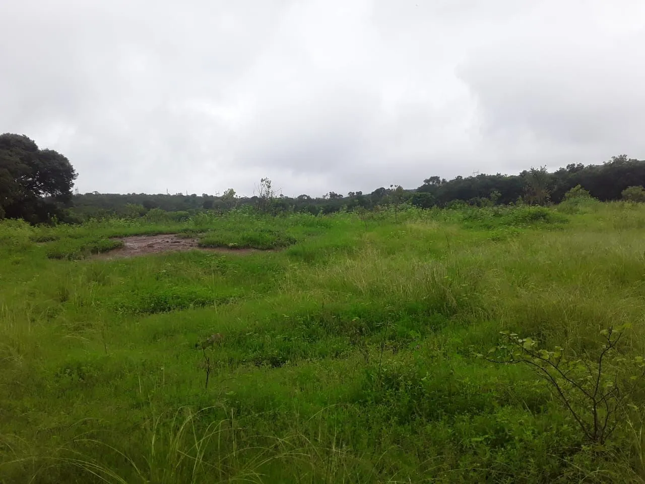 Fazenda à venda de 987 ha em Três Marias, MG, Brasil