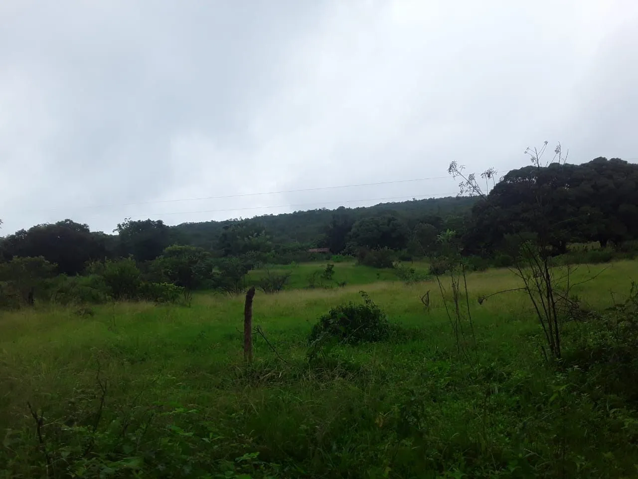 Fazenda à venda de 987 ha em Três Marias, MG, Brasil