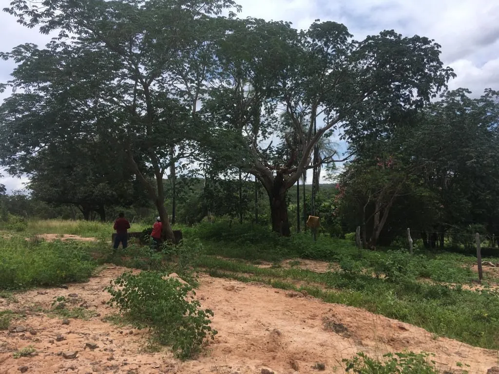 Fazenda à venda de 987 ha em Três Marias, MG, Brasil