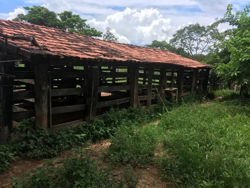 Fazenda à venda de 987 ha em Três Marias, MG, Brasil