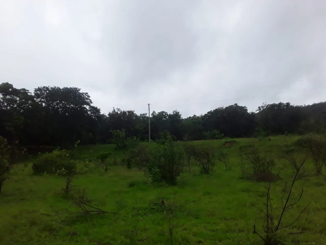 Fazenda à venda de 987 ha em Três Marias, MG, Brasil
