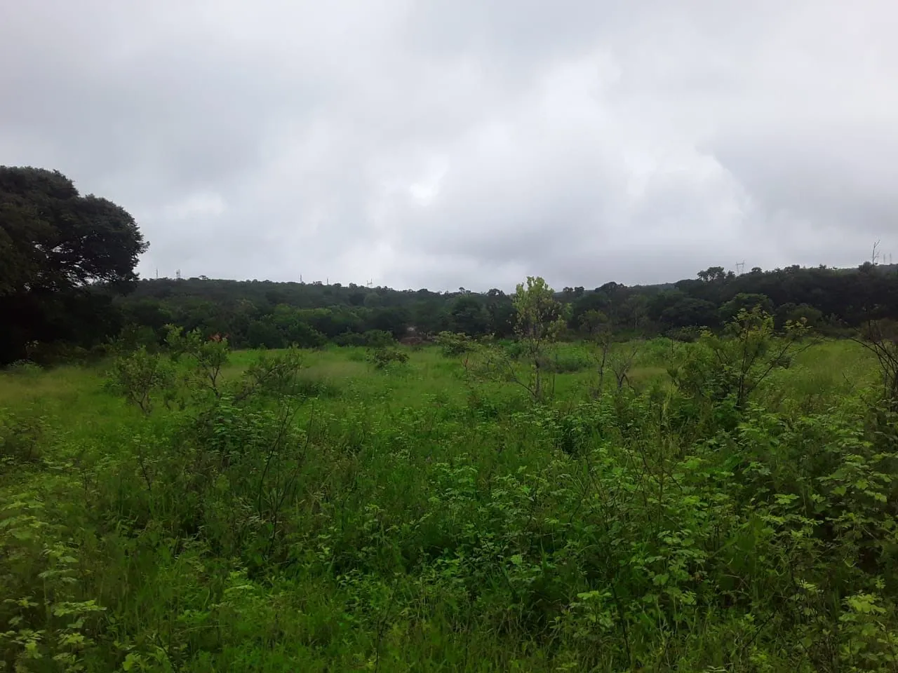 Fazenda à venda de 987 ha em Três Marias, MG, Brasil