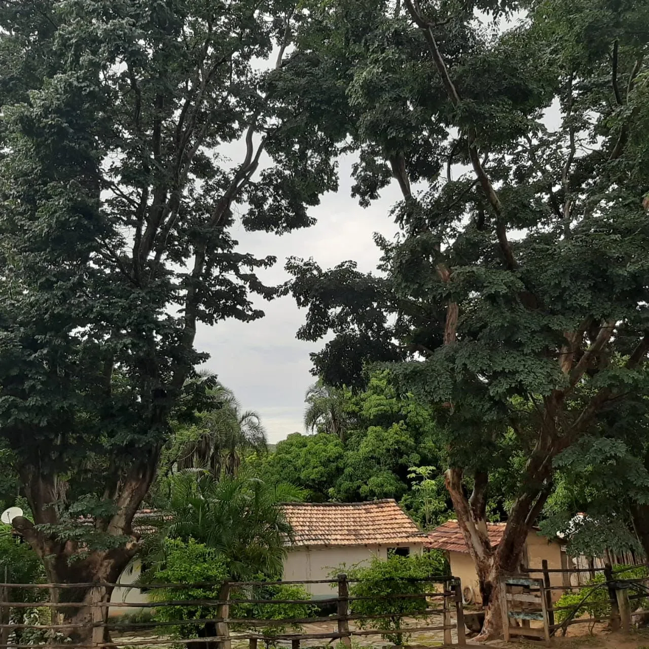 Fazenda à venda de 987 ha em Três Marias, MG, Brasil