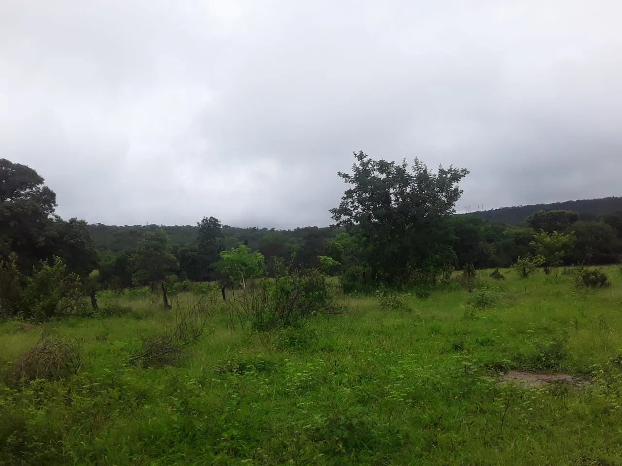 Fazenda à venda de 987 ha em Três Marias, MG, Brasil