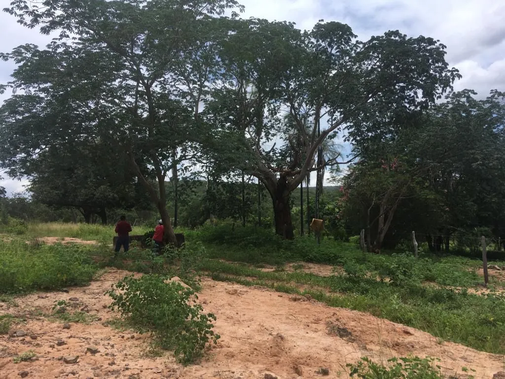 Fazenda à venda de 987 ha em Três Marias, MG, Brasil