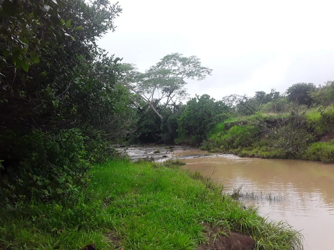 Fazenda à venda de 987 ha em Três Marias, MG, Brasil