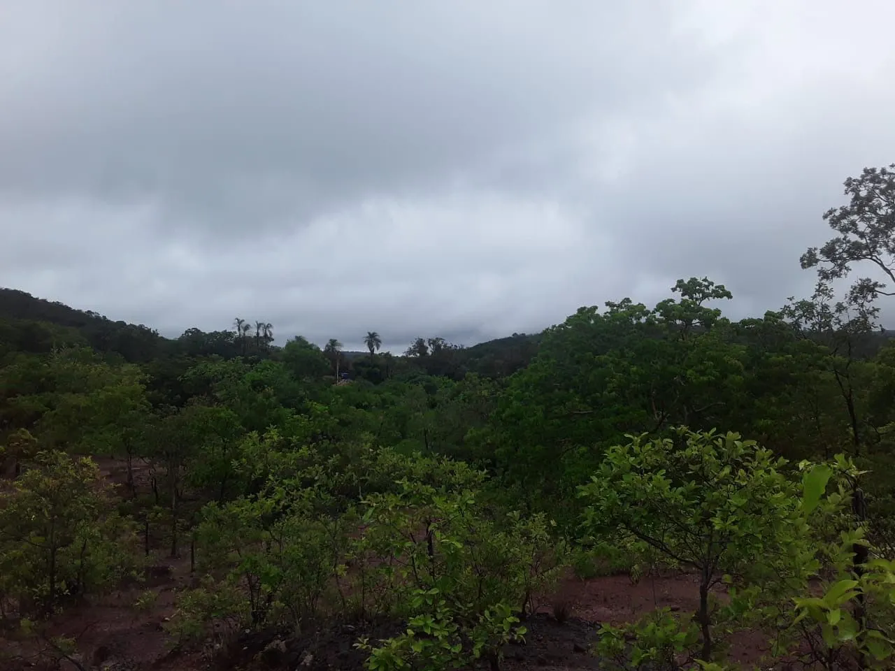 Fazenda à venda de 987 ha em Três Marias, MG, Brasil