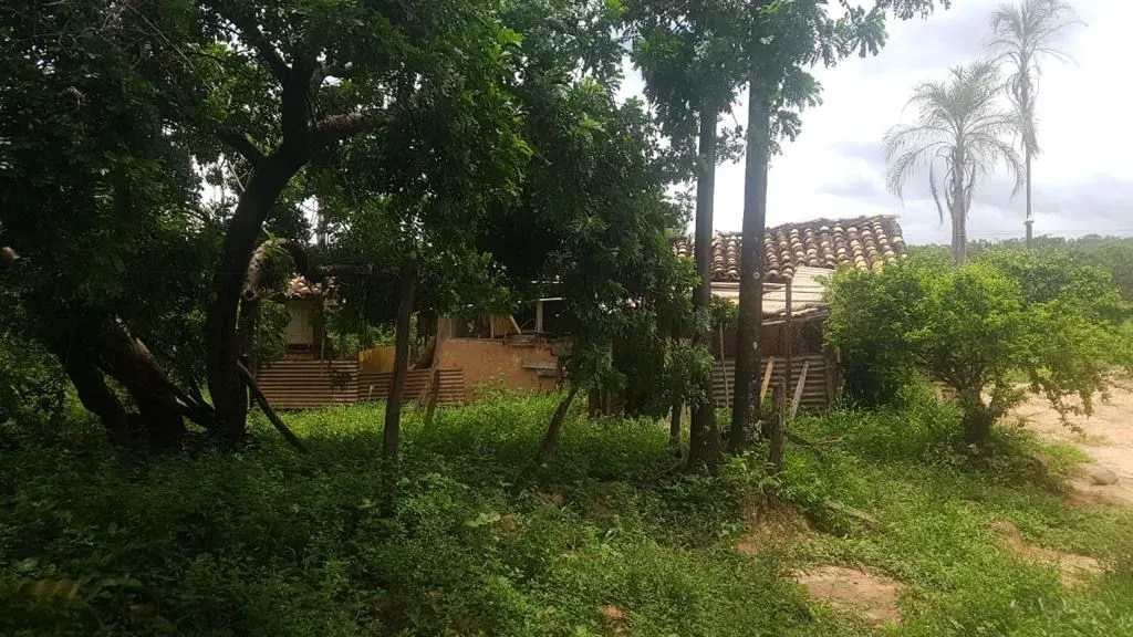 Fazenda à venda de 987 ha em Três Marias, MG, Brasil