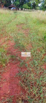 Fazenda à venda de 1.592 ha em Wanderlândia, TO, Brasil