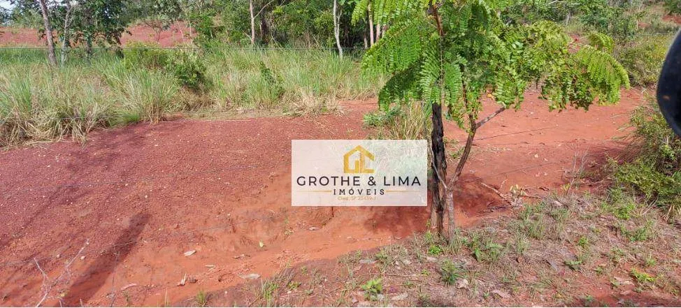 Fazenda à venda de 1.592 ha em Wanderlândia, TO, Brasil