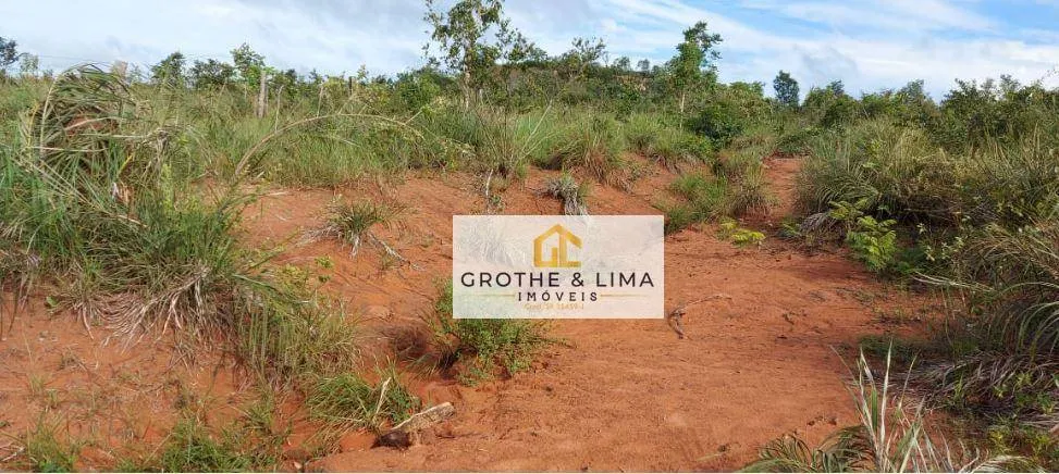 Fazenda à venda de 1.592 ha em Wanderlândia, TO, Brasil