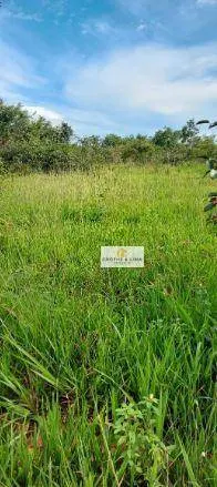 Fazenda à venda de 1.592 ha em Wanderlândia, TO, Brasil