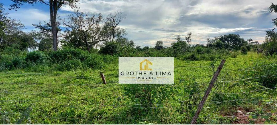 Fazenda à venda de 1.592 ha em Wanderlândia, TO, Brasil