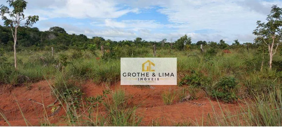 Fazenda à venda de 1.592 ha em Wanderlândia, TO, Brasil