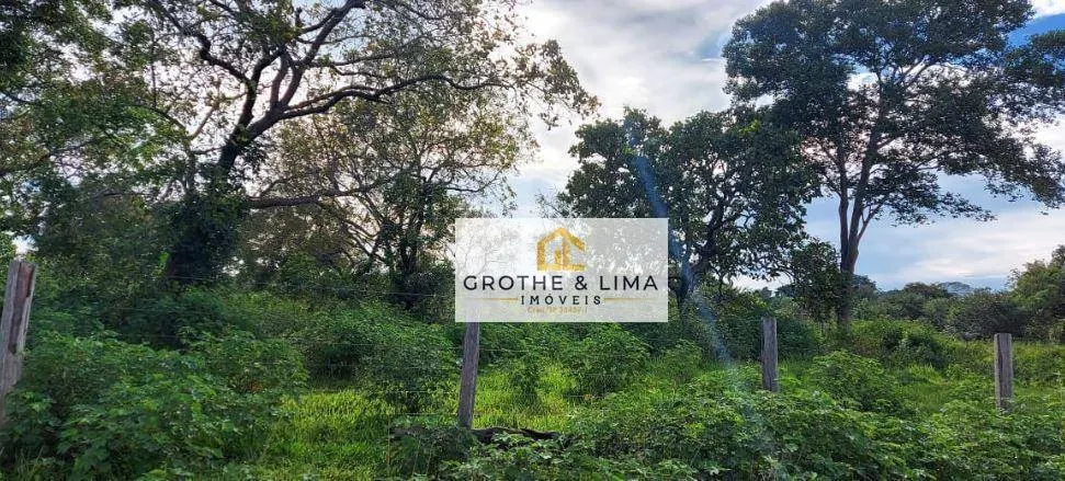 Fazenda à venda de 1.592 ha em Wanderlândia, TO, Brasil
