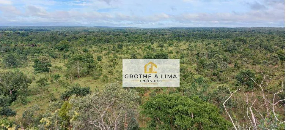 Fazenda à venda de 1.592 ha em Wanderlândia, TO, Brasil
