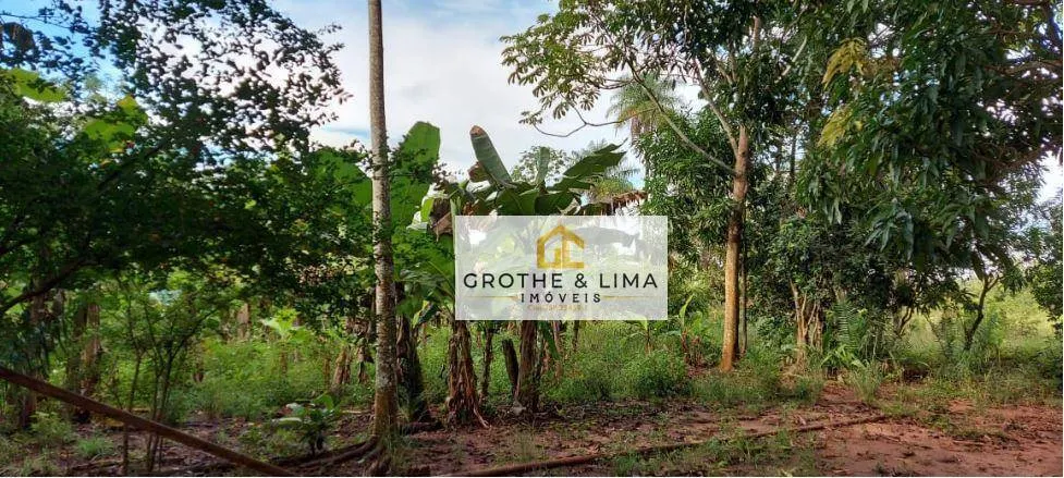 Fazenda à venda de 1.592 ha em Wanderlândia, TO, Brasil