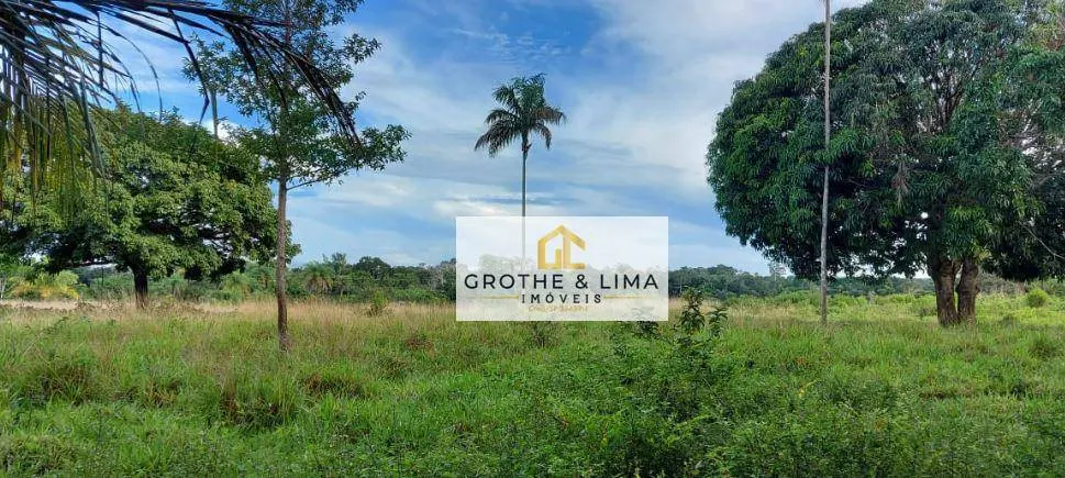 Fazenda à venda de 1.592 ha em Wanderlândia, TO, Brasil