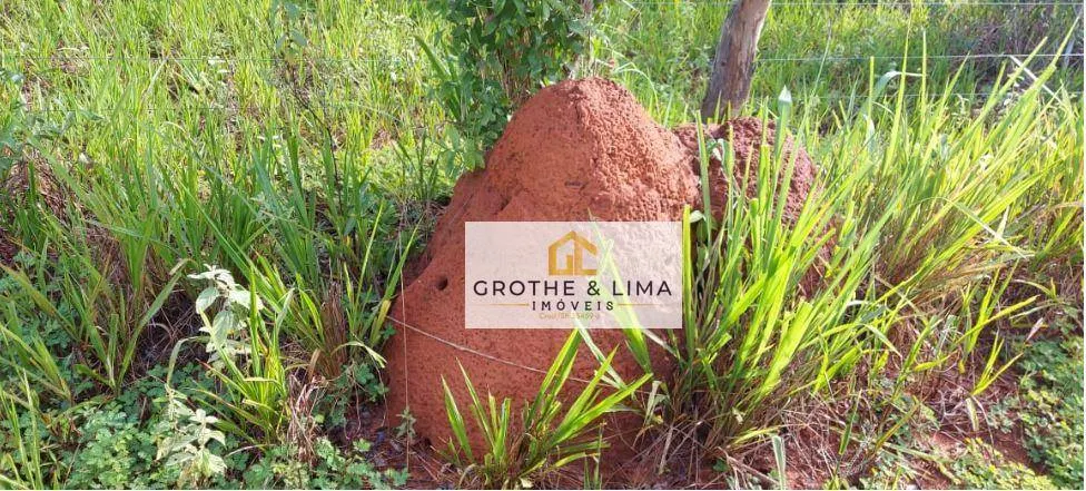 Fazenda à venda de 1.592 ha em Wanderlândia, TO, Brasil