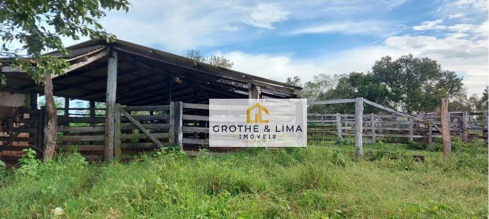 Fazenda à venda de 1.592 ha em Wanderlândia, TO, Brasil